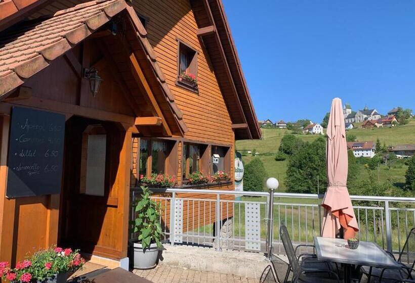 بنسيون Vogelbacher Hof   Dachsberg Im Südschwarzwald