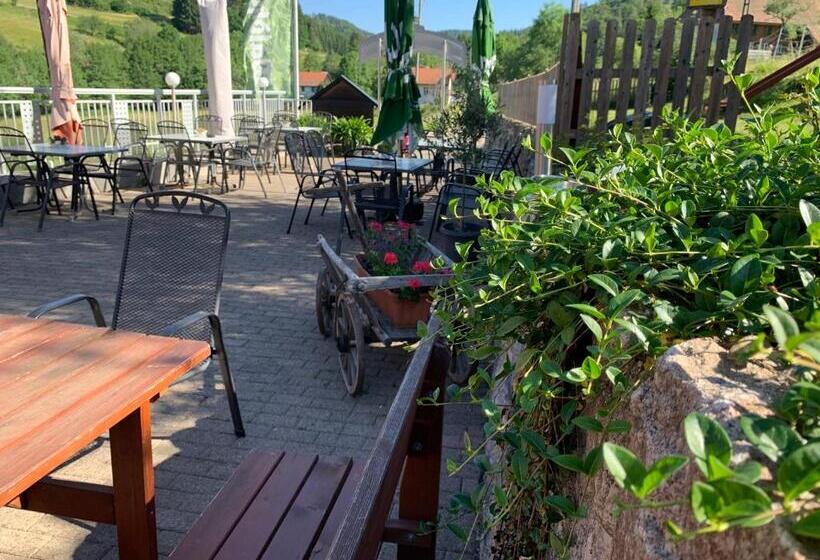 Pensão Vogelbacher Hof   Dachsberg Im Südschwarzwald