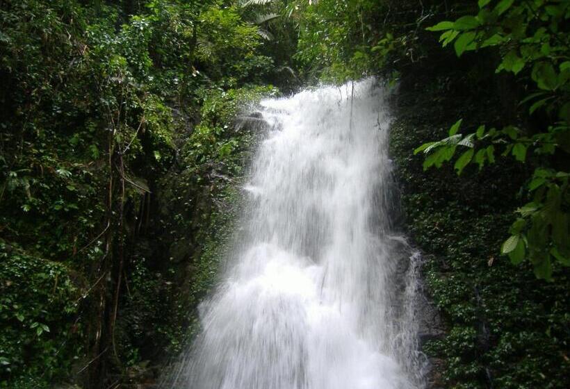 Pensão Vogelbacher Hof   Dachsberg Im Südschwarzwald