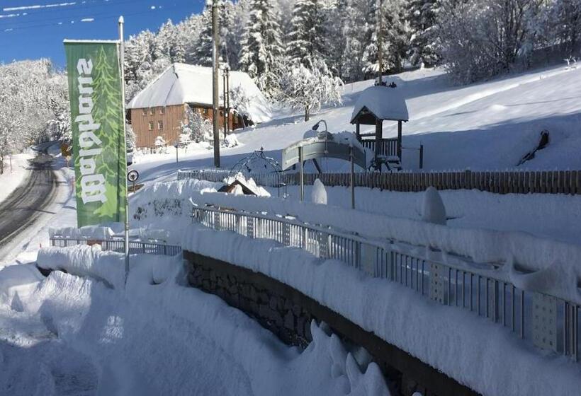 بنسيون Vogelbacher Hof   Dachsberg Im Südschwarzwald