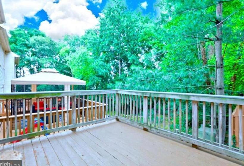 Пансион Washington Dc Luxury