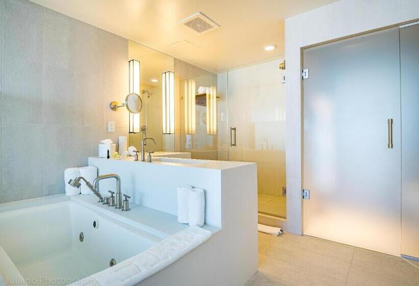 W Residences Fort Lauderdale Luxury Suites Across From Fort Lauderdale Beach