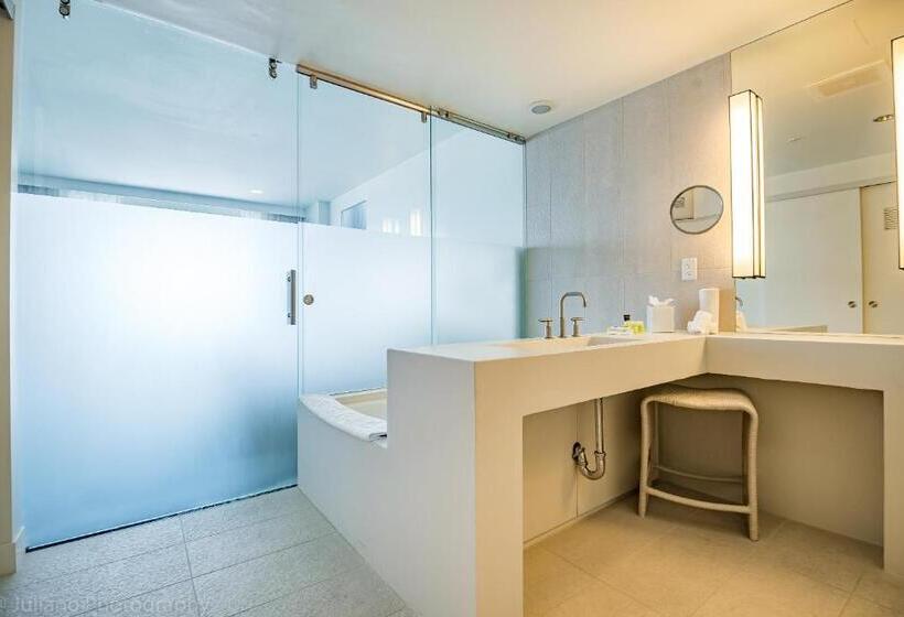 W Residences Fort Lauderdale Luxury Suites Across From Fort Lauderdale Beach