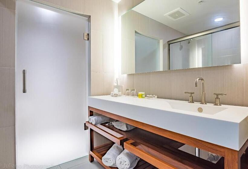 W Residences Fort Lauderdale Luxury Suites Across From Fort Lauderdale Beach