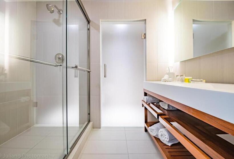 W Residences Fort Lauderdale Luxury Suites Across From Fort Lauderdale Beach