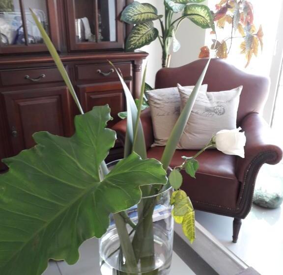 Общежитие Baraka   Posada