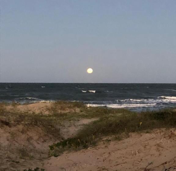 旅馆 Hostal Del Cabo