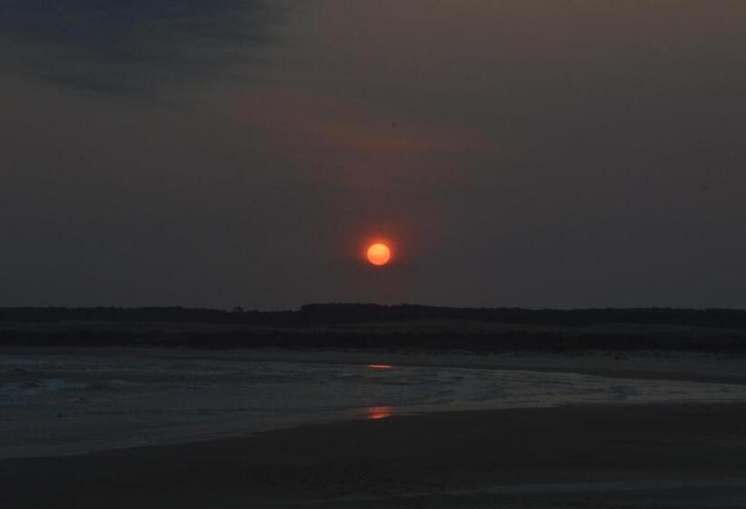 旅馆 Hostal Del Cabo