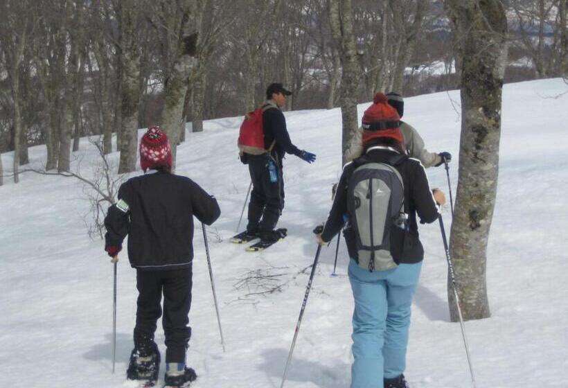 호스텔 Inaka No Yado Sawa