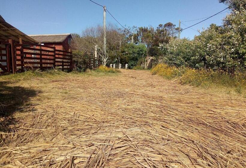 هاستل Luna & Zoé