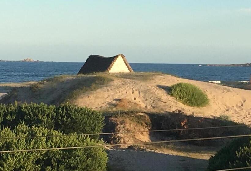 هاستل Luna & Zoé