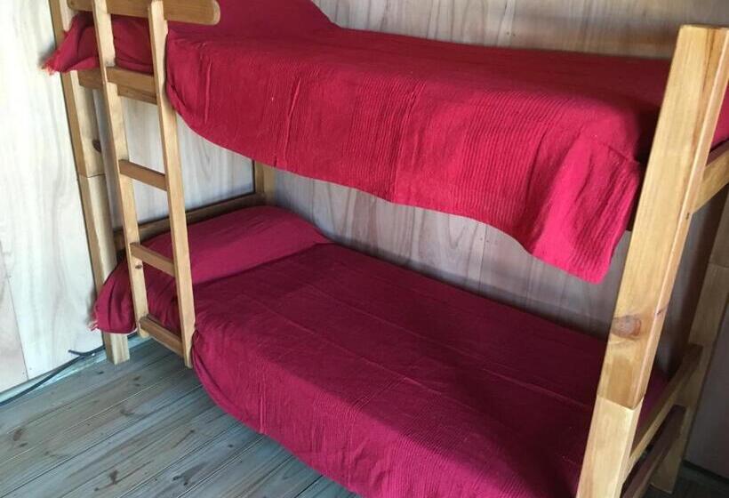 هاستل Luna & Zoé