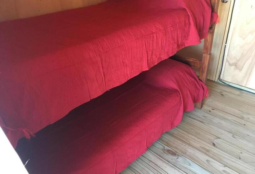 هاستل Luna & Zoé