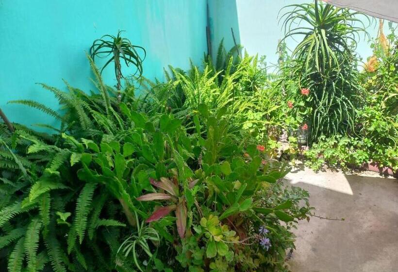 ユースホステル Palmeras Del Tuyu