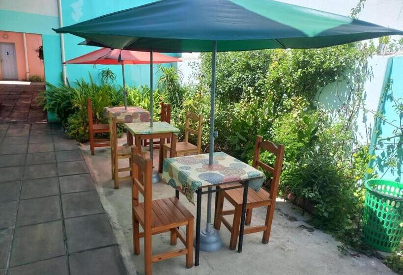 ユースホステル Palmeras Del Tuyu