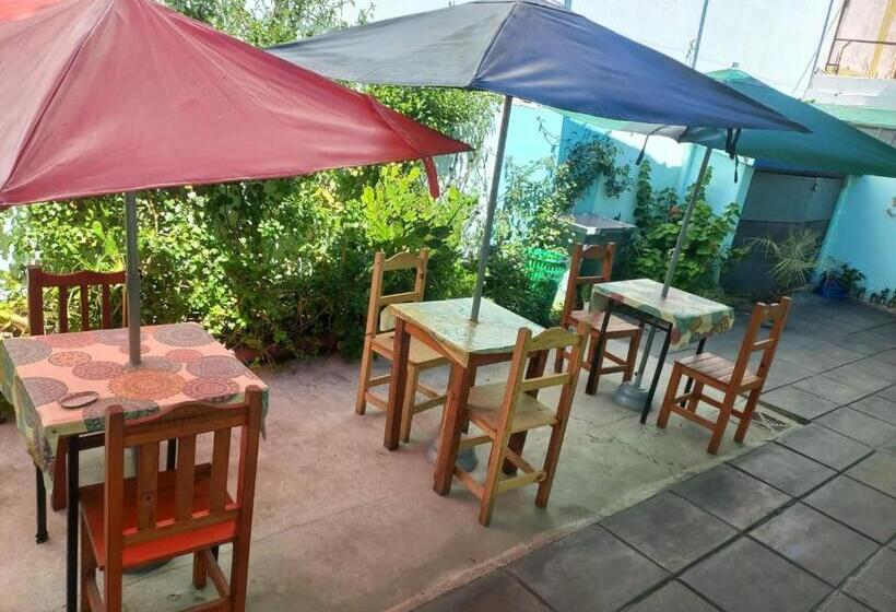 ユースホステル Palmeras Del Tuyu