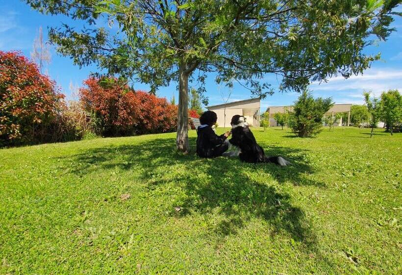 فندق صغير Rincón Del Alma