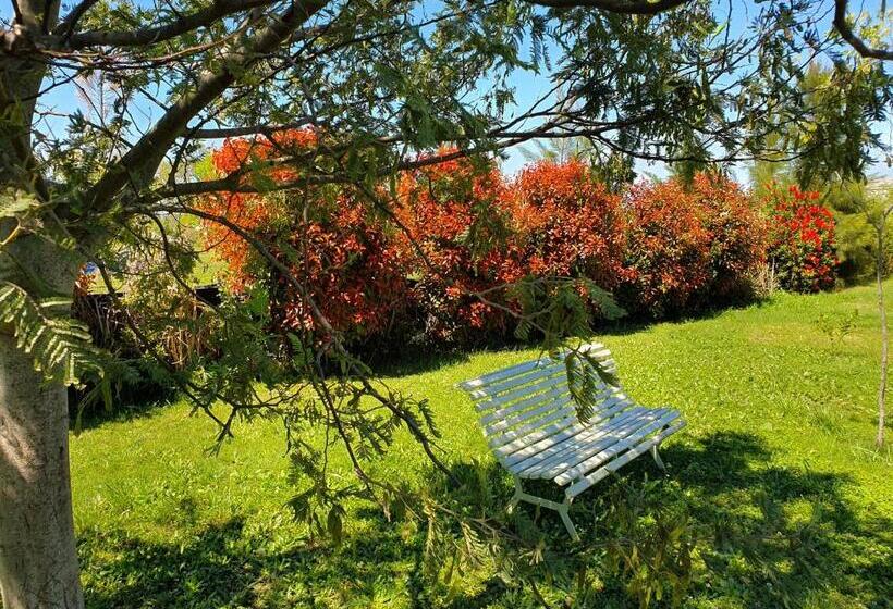 فندق صغير Rincón Del Alma