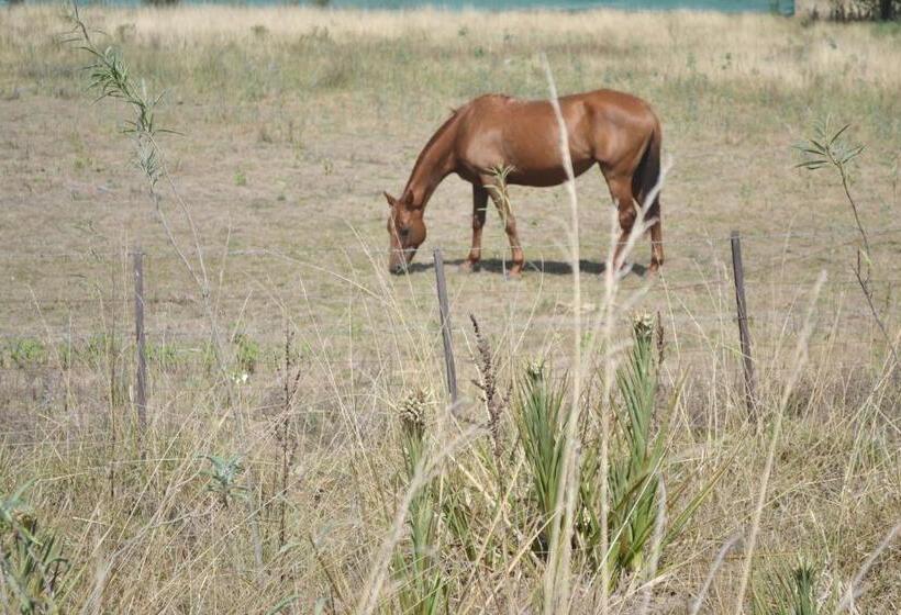 فندق صغير Rincón Del Alma