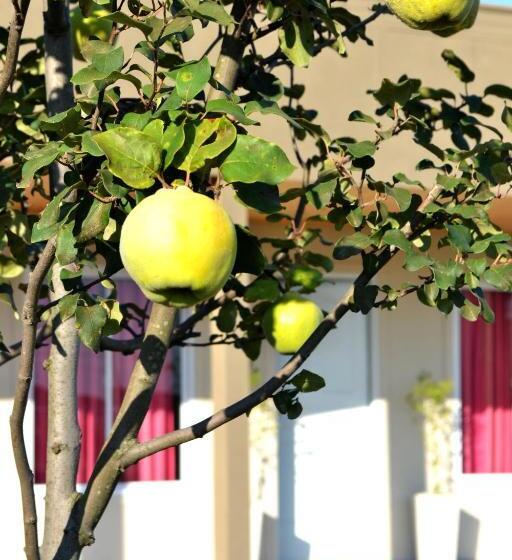 فندق صغير Rincón Del Alma