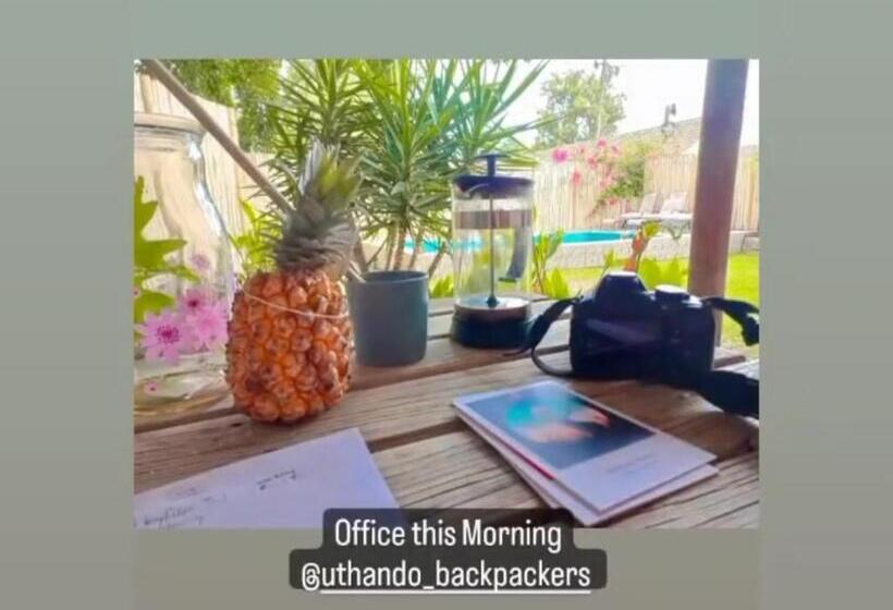هاستل Uthando Backpackers Lodge