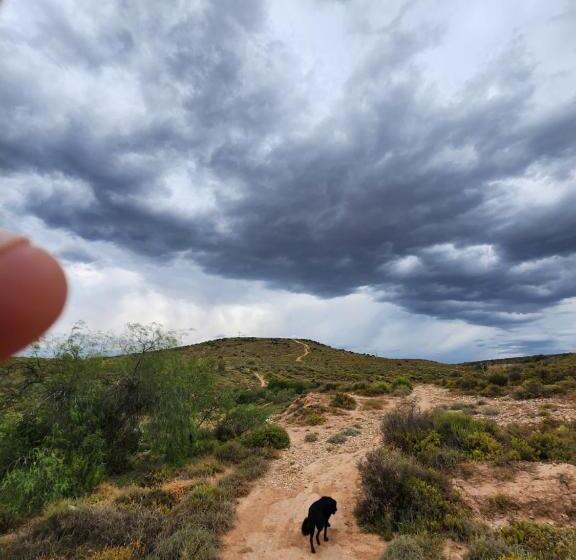 هاستل Uthando Backpackers Lodge