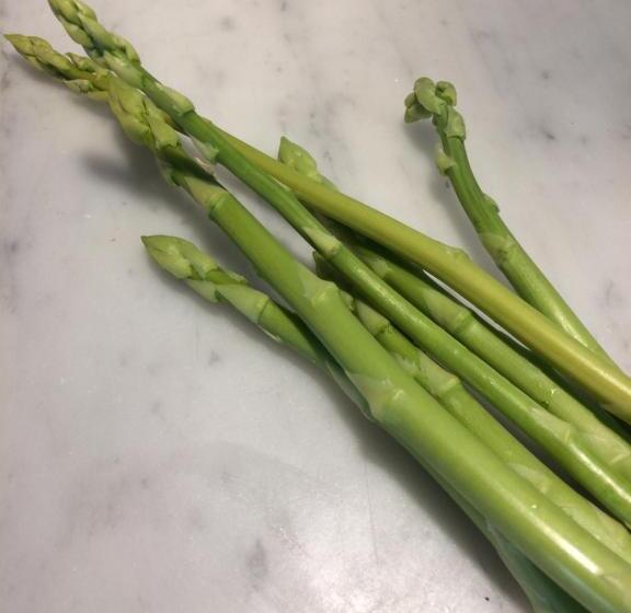 B&b Direktörsvillan Oaxen