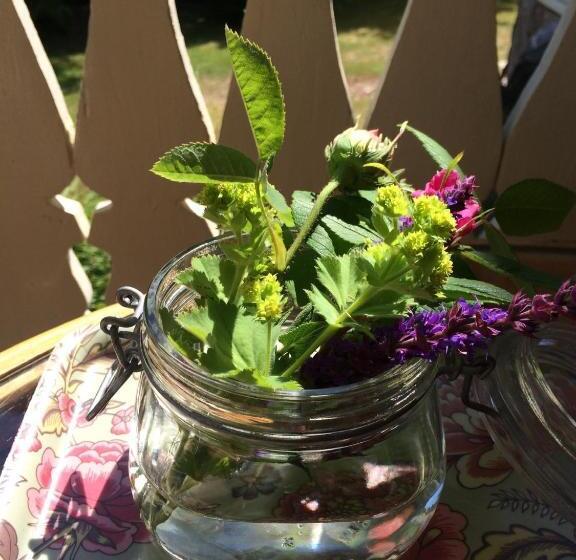 B&b Direktörsvillan Oaxen