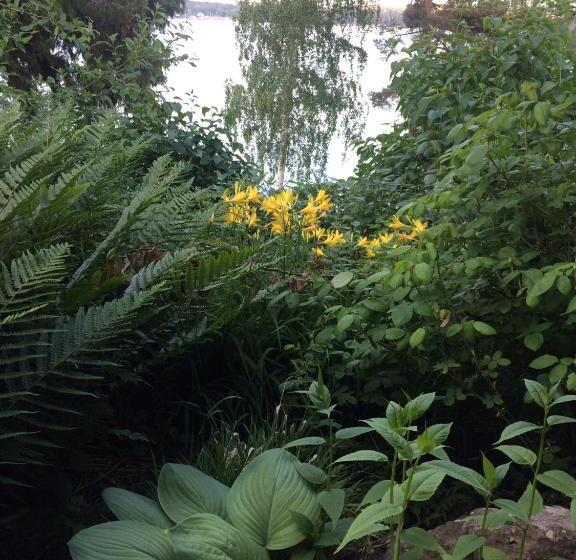 B&b Direktörsvillan Oaxen