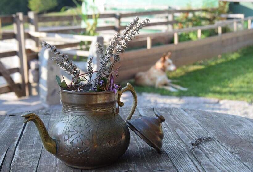 مبيت وإفطار Agriturismo Athabaska