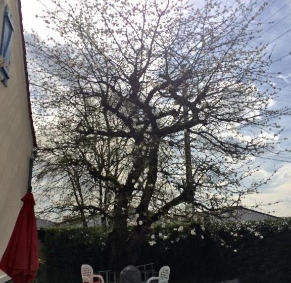 ベッドアンドブレックファースト Chambres De La Nonette