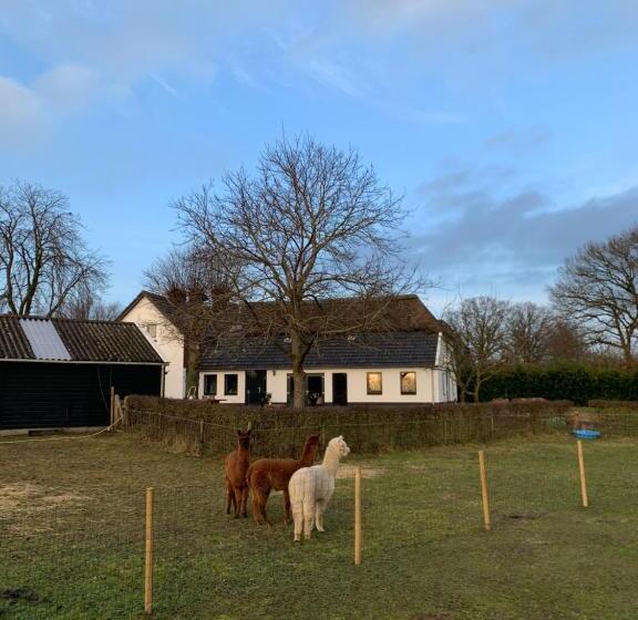 צימר Hoeve Zandbelt