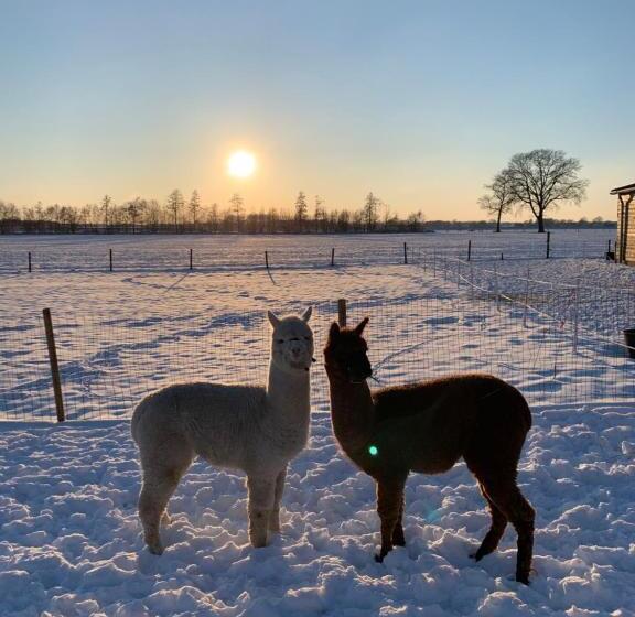 민박 Hoeve Zandbelt