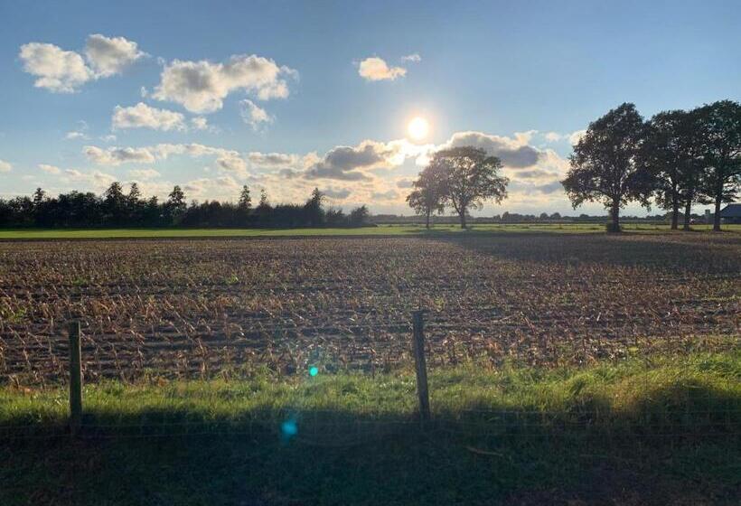 민박 Hoeve Zandbelt