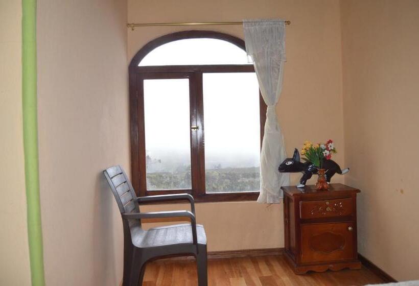 تختخواب و صبحانه Hostal Conejito