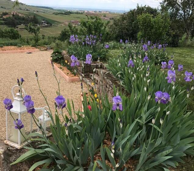 ベッドアンドブレックファースト L Esprit Des Vignes