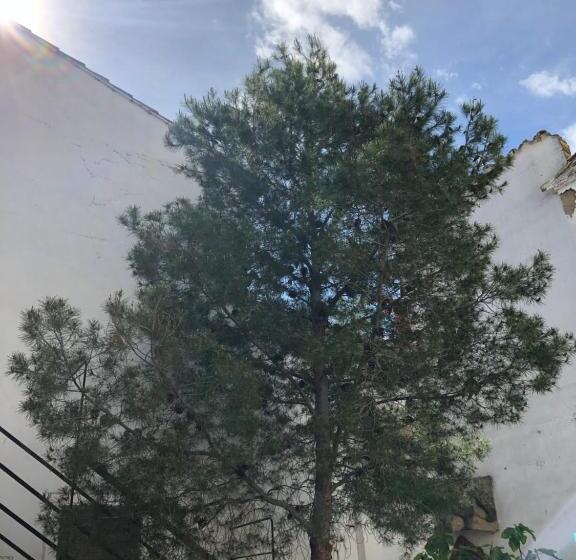 ベッドアンドブレックファースト La Maison Del Gállego