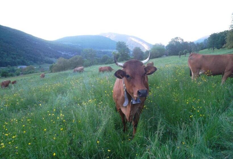 צימר La Roulotte De La Buissonnière