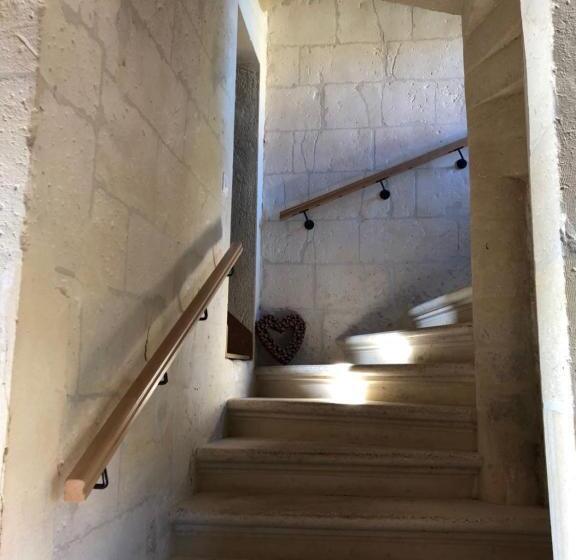 مبيت وإفطار Le Château De Coyolles