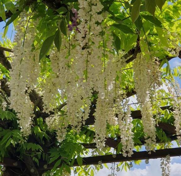 Bed and Breakfast Suite Climatisée Avec Entrée Privative Les Deux Glycines