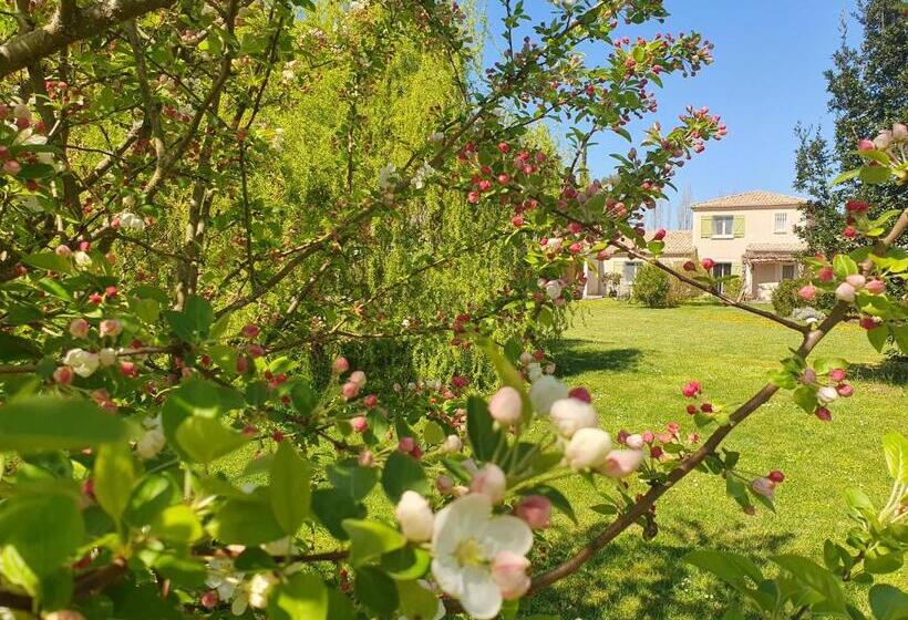 Bed and Breakfast Suite Climatisée Avec Entrée Privative Les Deux Glycines