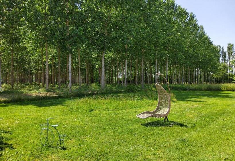 Bed and Breakfast Suite Climatisée Avec Entrée Privative Les Deux Glycines