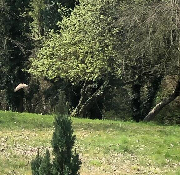 צימר Relais D’arbigny