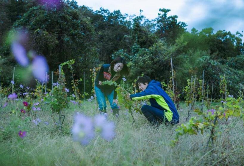 Hotell Andante 葡萄農家の宿