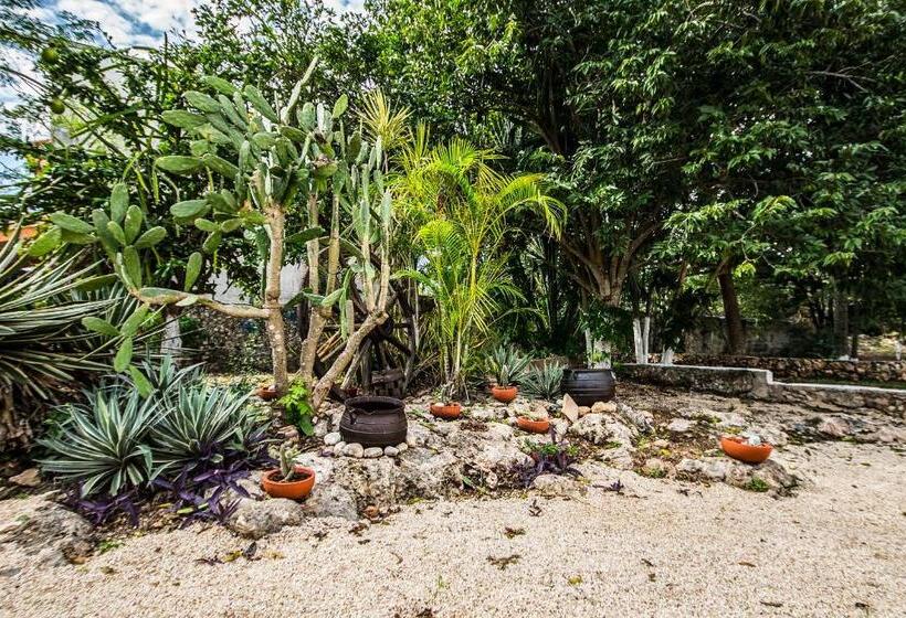 호텔 Boutique Casa Xaan