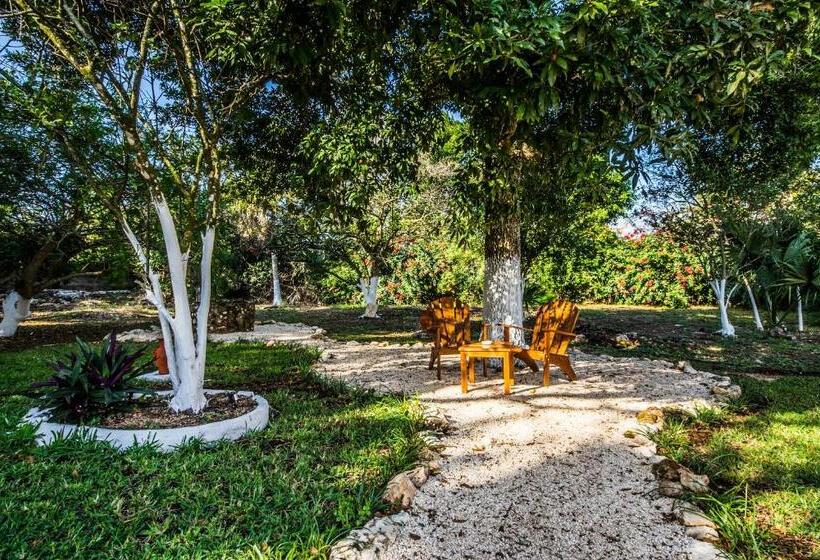 호텔 Boutique Casa Xaan