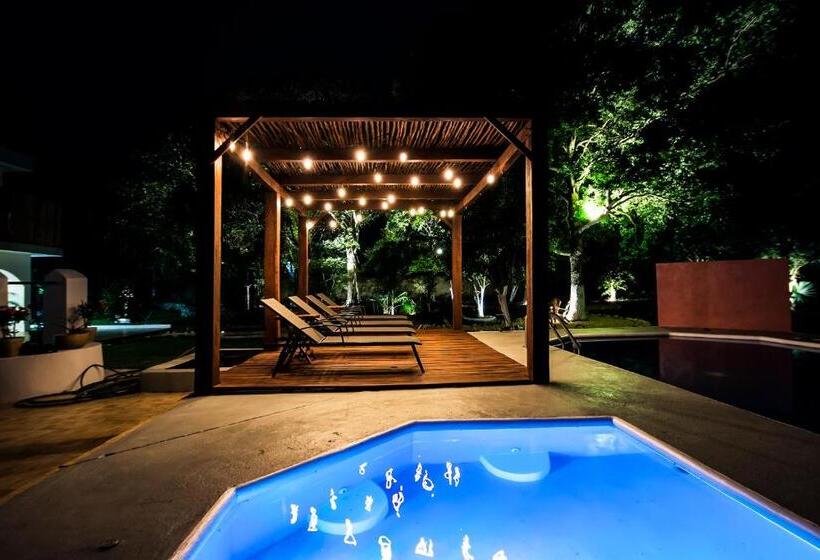 호텔 Boutique Casa Xaan