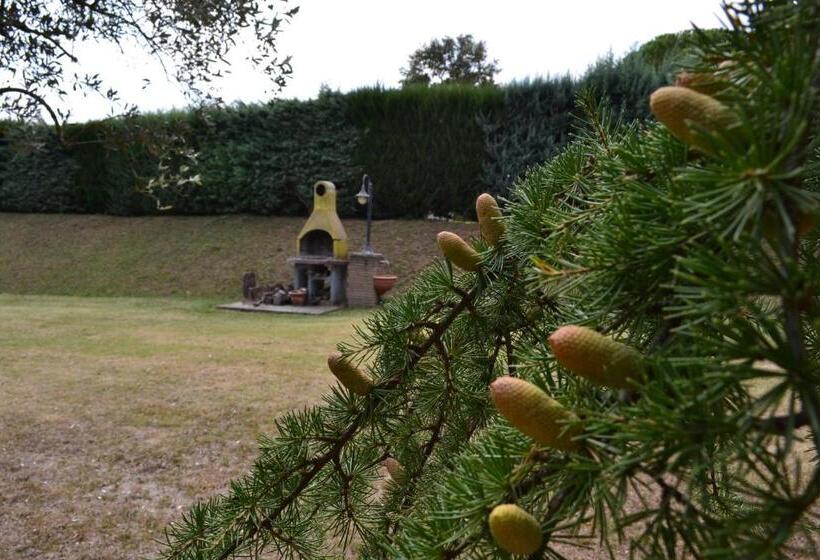 فندق Casale Montemoro