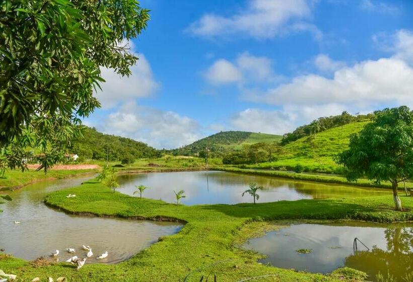 酒店 Fazenda Oásis