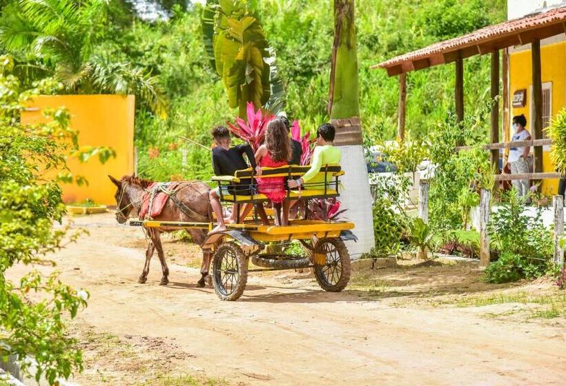 酒店 Fazenda Oásis